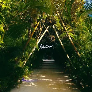 https://resort-mia-tulum.quintano-roohotels.com